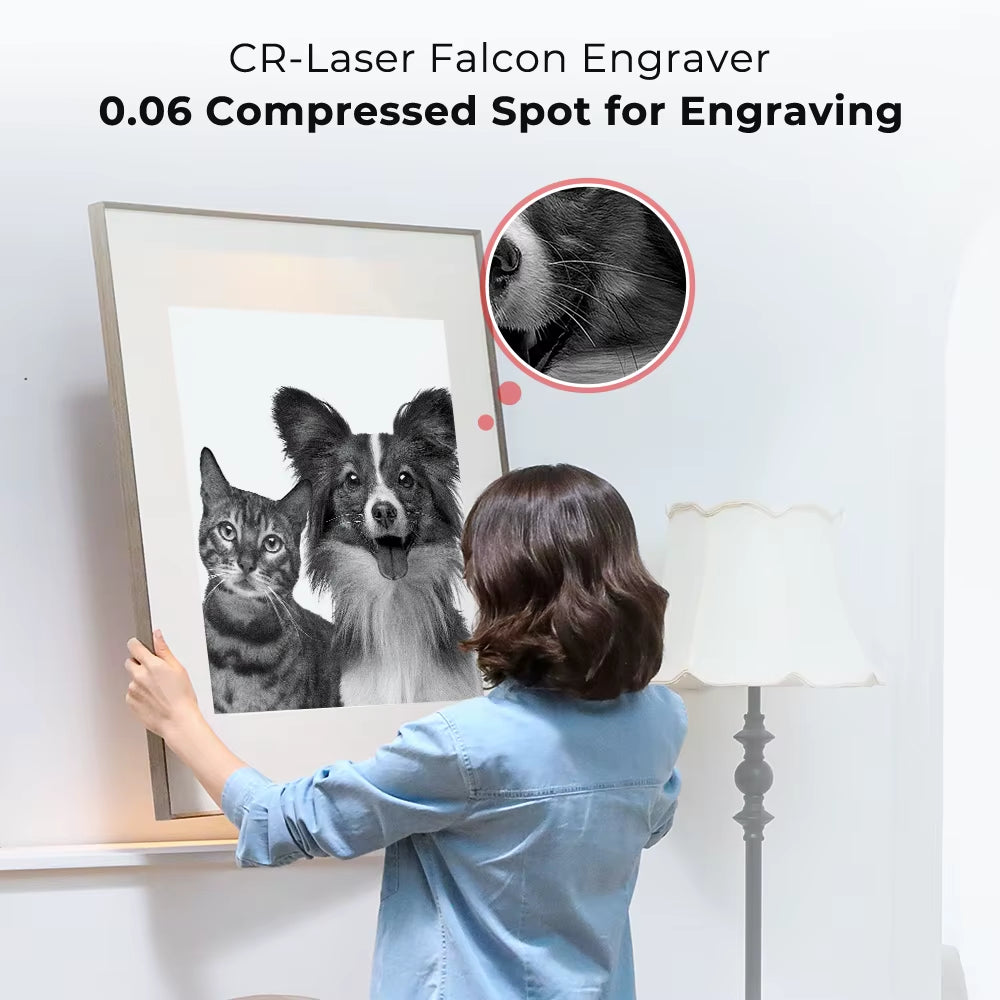 Creality Falcon Laser Engraver 10W Laser Cutter Engraving Machine 400X415Mm Blue Light Precisely CNC Machine for Wood