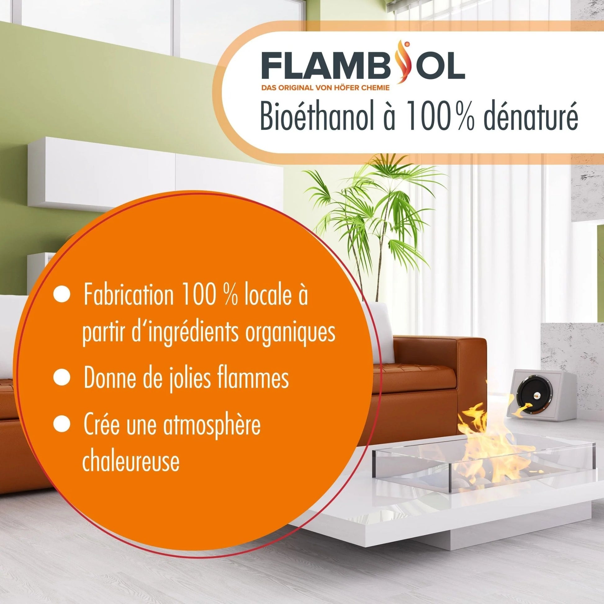 5 L FLAMBIOL® Bioethanol 96,6% Premium Für Ethanol-Brenner Oder Kamine